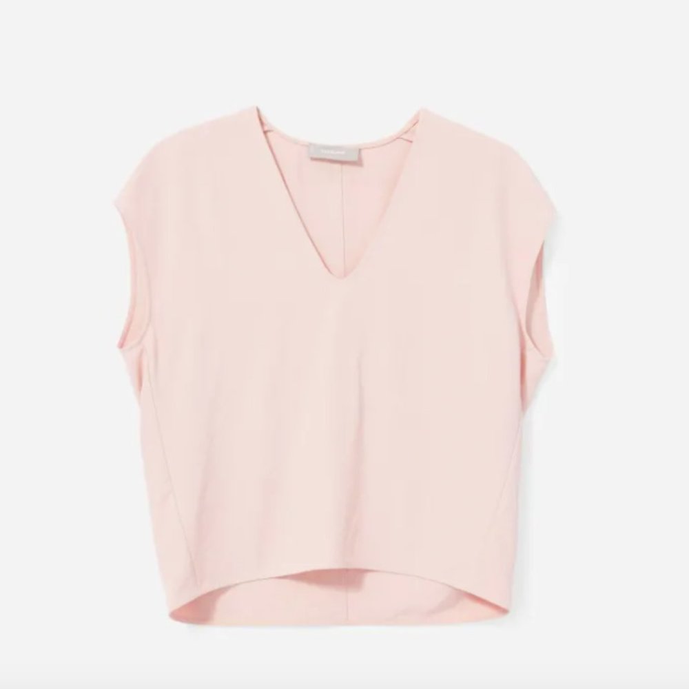 NWOT Everlane v neck blouse in rose / pink